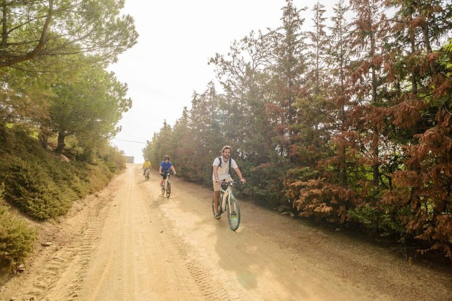 From Barcelona: Private Alella Wine Tour by Electric Bike - Private tour, real value, and possible snags