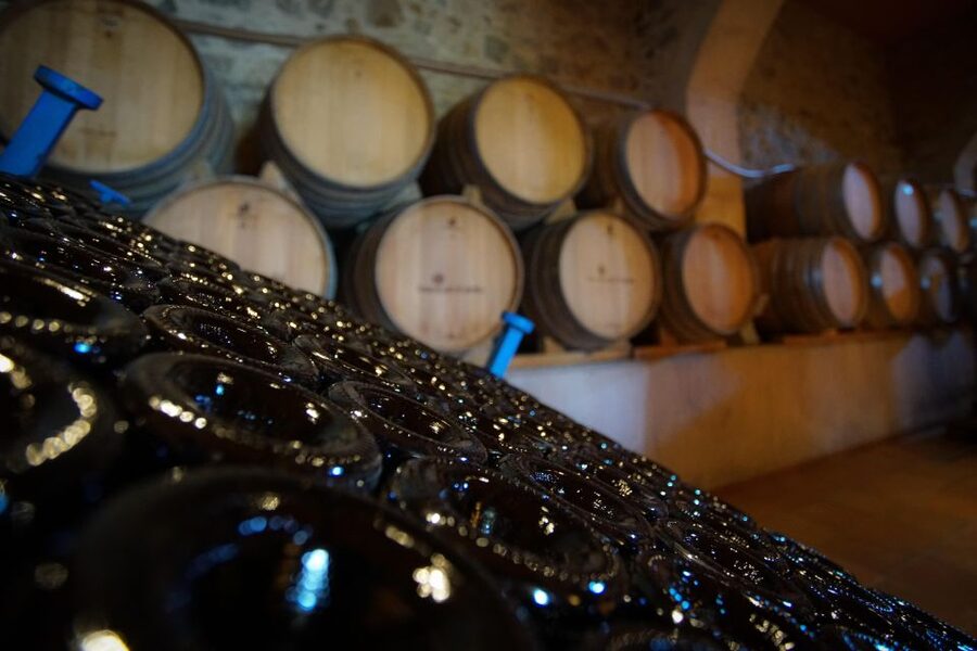 From Barcelona: Sailing and Wine Tasting Experience - Sailing from Barcelona to El Masnou