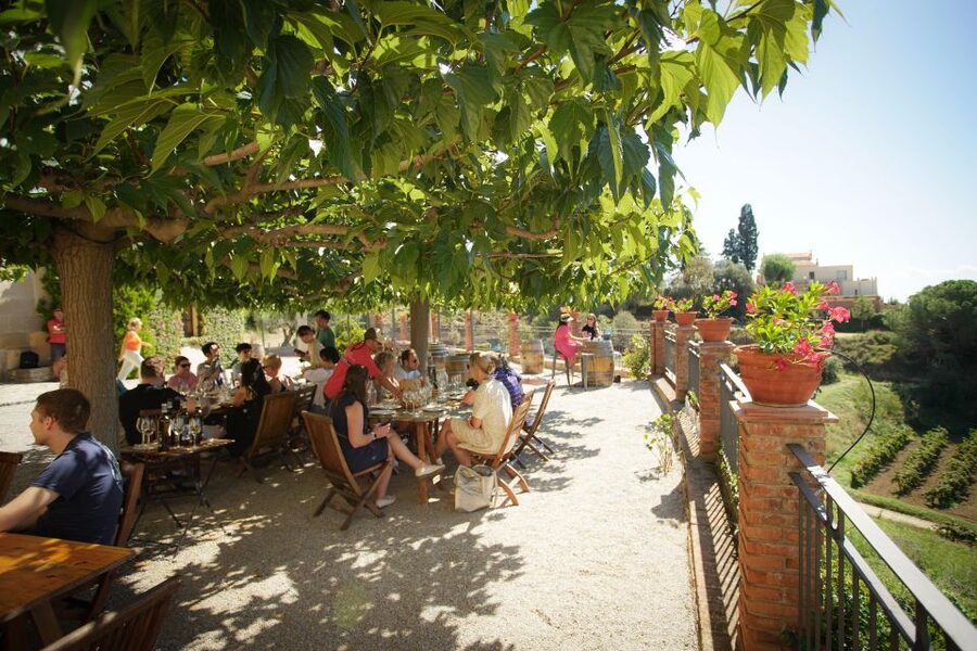 From Barcelona: Sailing and Wine Tasting Experience - Timing, meeting point, and practical advice