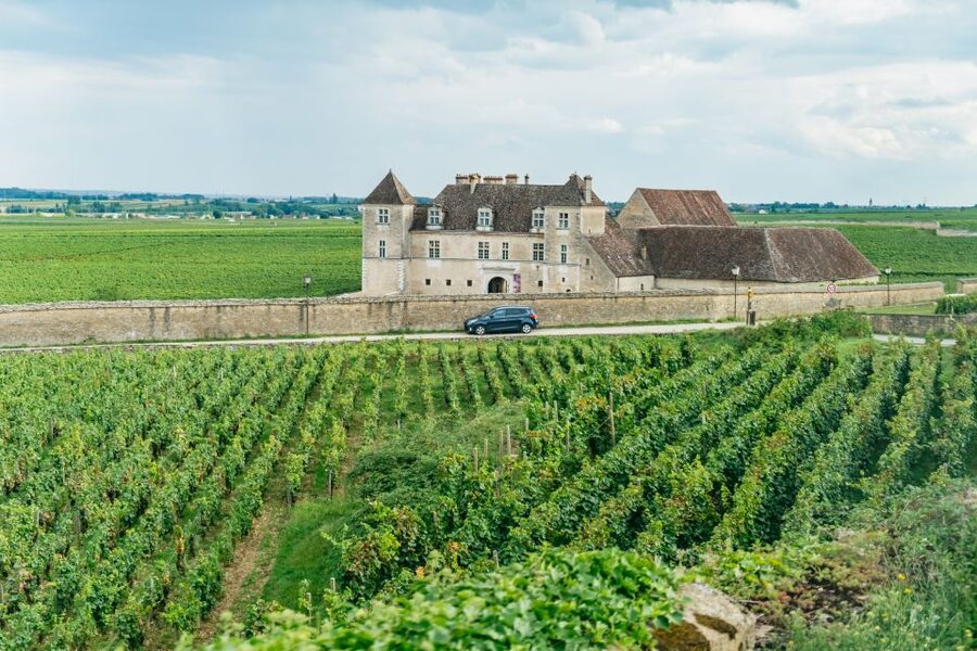 From Beaune: Burgundy Day Trip with 14 Wine Tastings - Key points to know before booking