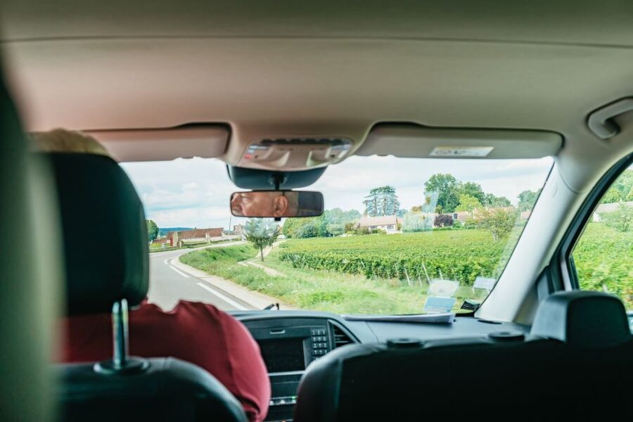 From Beaune: Burgundy Day Trip with 14 Wine Tastings - What $294 gets you