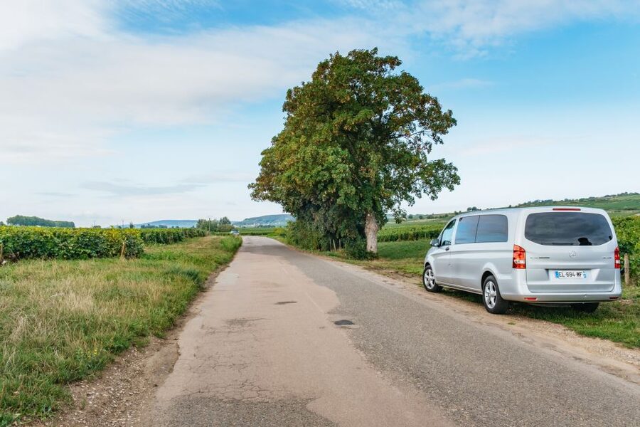 From Beaune: Burgundy Day Trip with 14 Wine Tastings - Lunch with regional Burgundy food