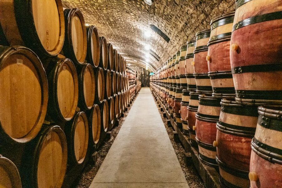 From Beaune: Burgundy Day Trip with 14 Wine Tastings - Nuits-Saint-Georges and a producer-led tasting