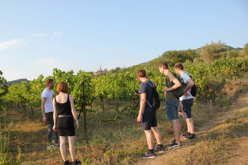 From Berat: Guided Winery Tour with Transfers and Tastings - Starting at VATO’s central Berat office