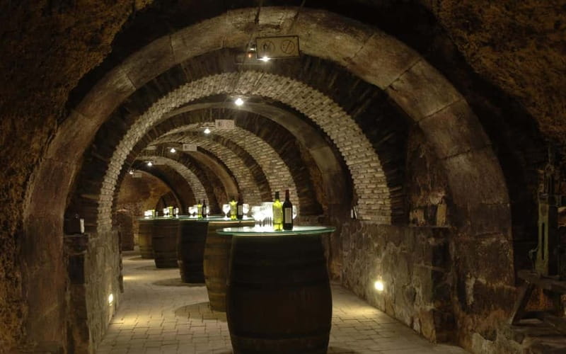 From Bilbao: La Rioja Wineries Day Trip with Wine Tastings - CVNE and the wine capital of Haro