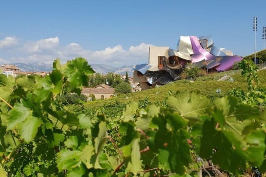 From Bilbao: Rioja Architecture and Wine Tour - Why this Rioja day trip works from Bilbao