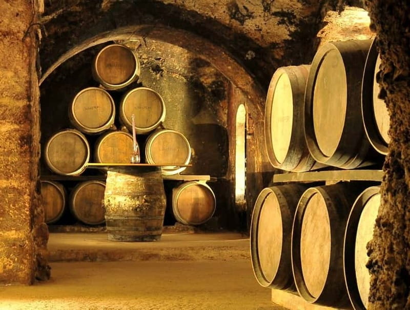 From Bilbao: Rioja Wine Region with Winery & Vitoria-Gasteiz - Laguardia, where wine is part of the village
