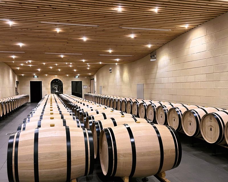 From Bordeaux: Afternoon Saint-Emilion Wine Tasting & snack - Cheese, cured meat, bread, and dark chocolate