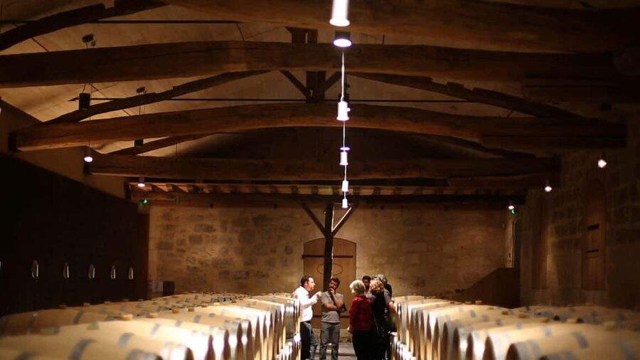 From Bordeaux: Afternoon Saint-Emilion Wine Tasting & snack - Who will enjoy this afternoon most?