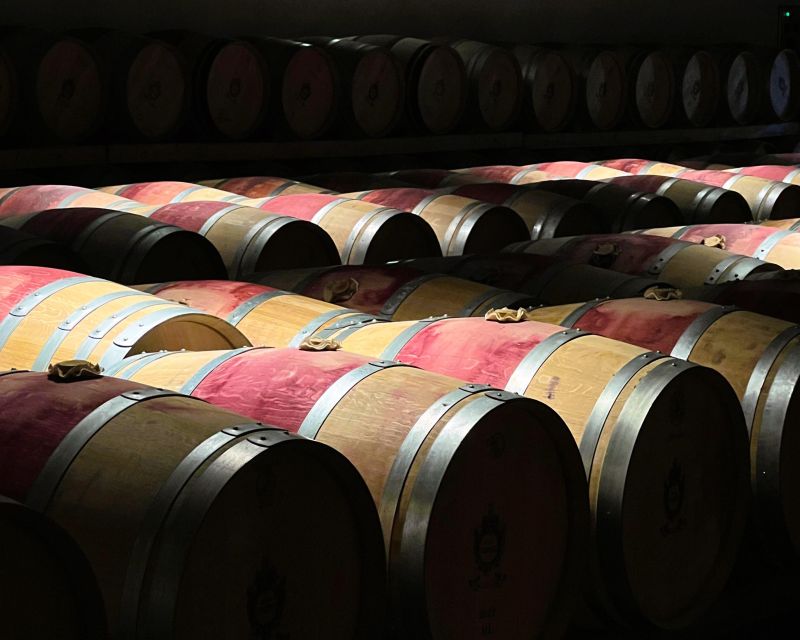 From Bordeaux: Essential Morning Tour with Wine Tasting - Returning to Bordeaux by 12:30