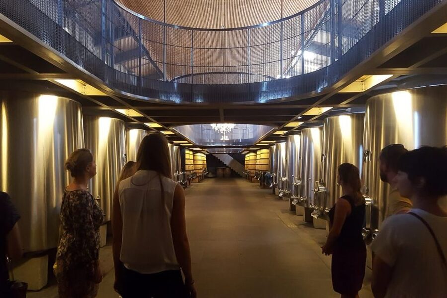 From Bordeaux: Full-Day Medoc Wine Tour - The château road is part of the experience