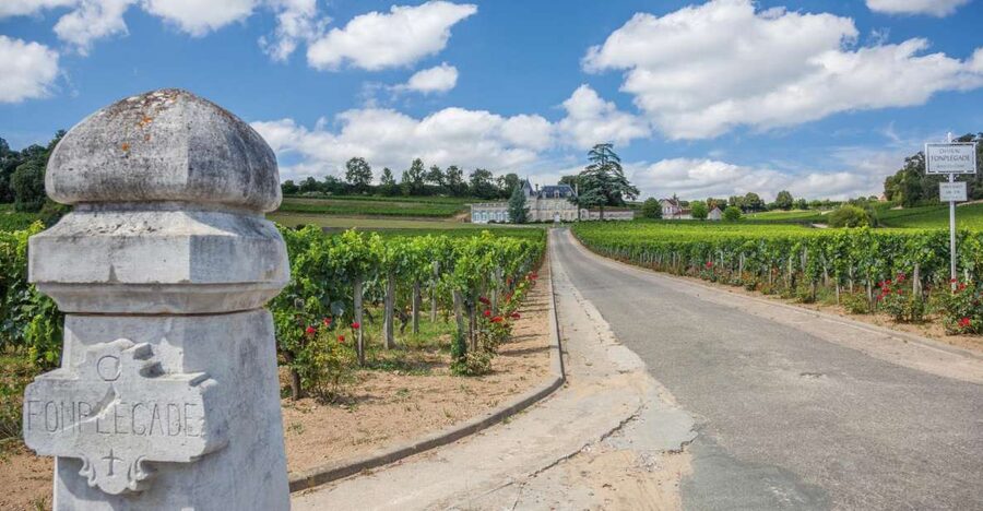 From Bordeaux: Full-Day St Emilion Wine Tasting Tour - Why the Right Bank makes a good first Bordeaux wine day