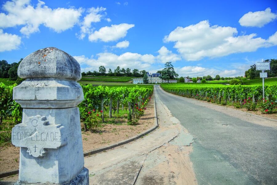 From Bordeaux: Full-Day St Emilion Wine Tasting Tour - First tasting: learning how a classified-growth estate works