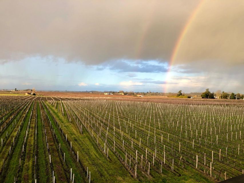 From Bordeaux: Half-Day Saint-Emilion Wine Tour - The short transfer to Saint-Émilion