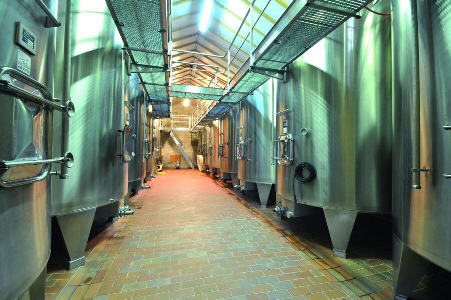 From Bordeaux: Medoc Half-Day Wine Tour - Should you book it?