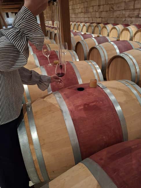 From Bordeaux: Medoc Wineries Tour with Tastings - Why this Médoc afternoon works well for first-time visitors