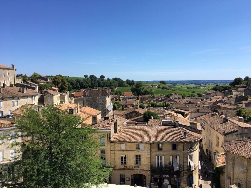 From Bordeaux: Saint-Emilion Guided Wine Tasting Tour - The family-owned winery and regional food pairing