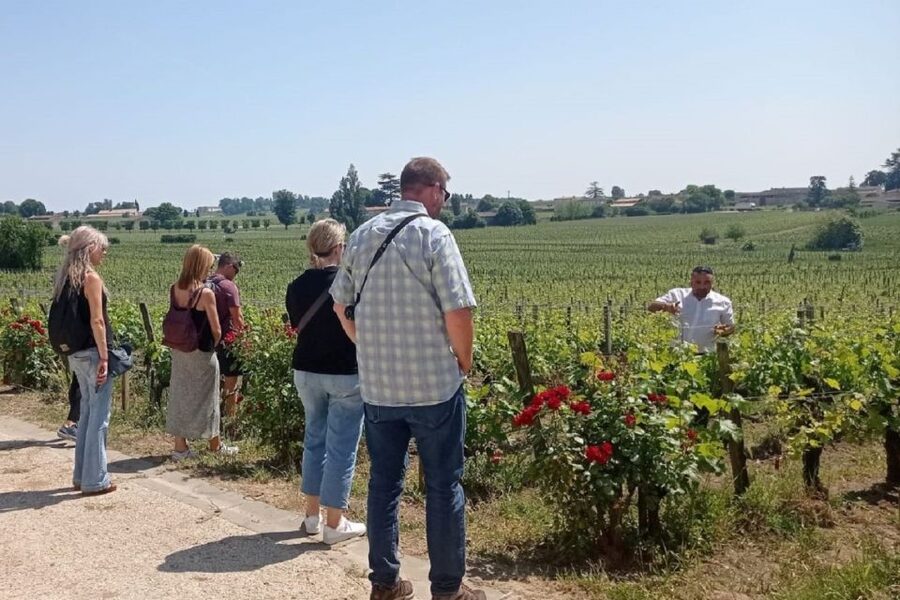 From Bordeaux: Saint-Emilion Guided Wine Tasting Tour - What $129 includes, and what it does not