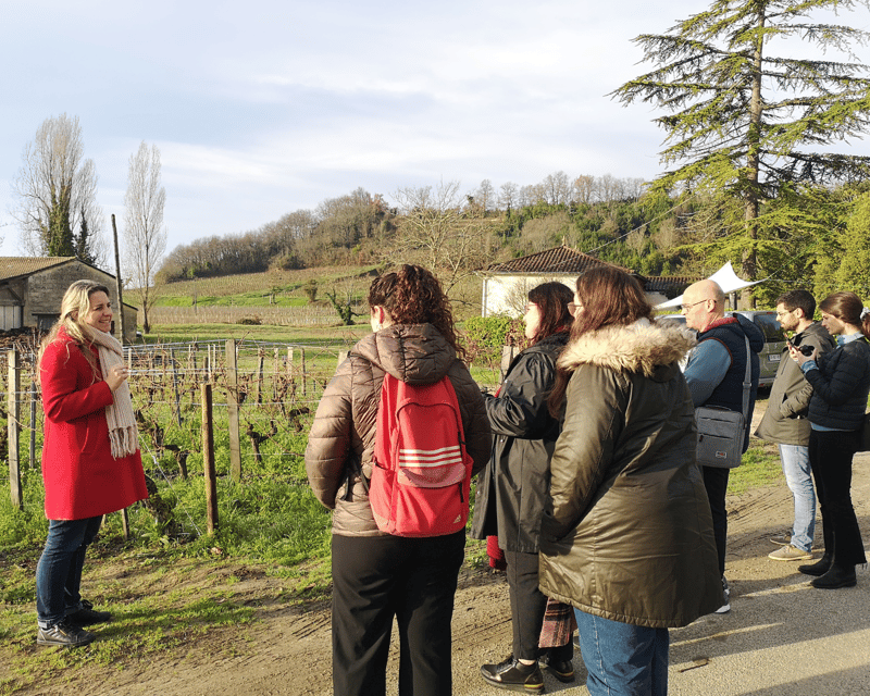 From Bordeaux: Saint-Émilion Half-Day Tour with Wine Tasting - At the organic winery, three wines and a closer look