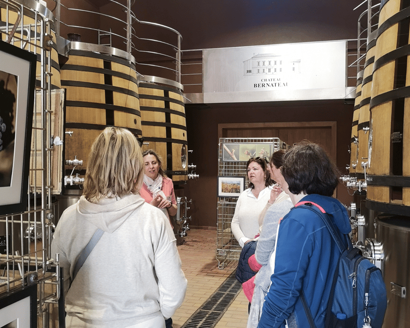 From Bordeaux: Saint-Émilion Half-Day Tour with Wine Tasting - Saint-Émilion macarons add a local finish