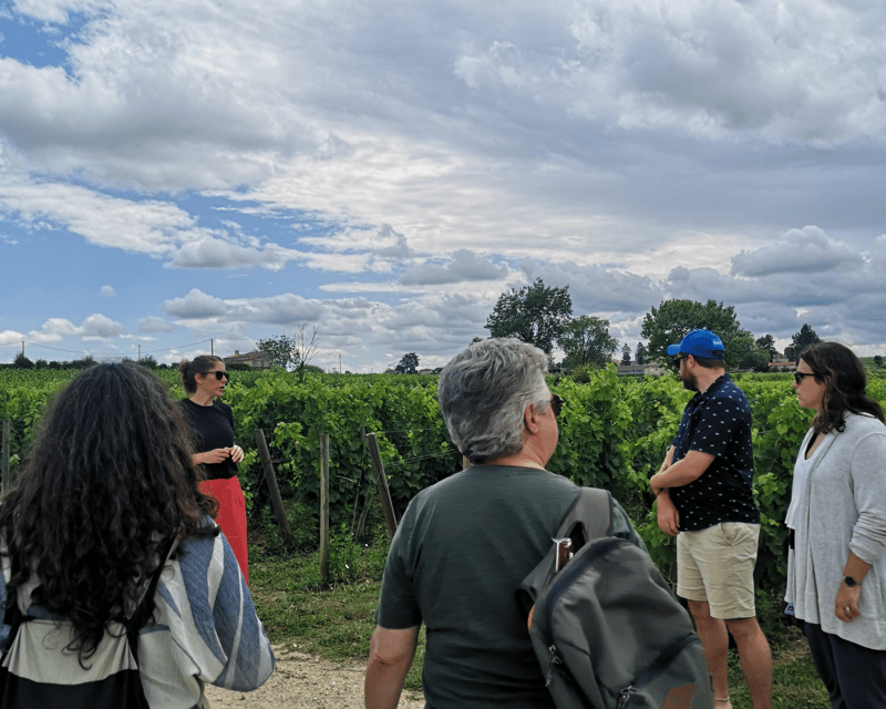 From Bordeaux: Saint-Émilion Half-Day Tour with Wine Tasting - Meeting the van at the Cité du Vin