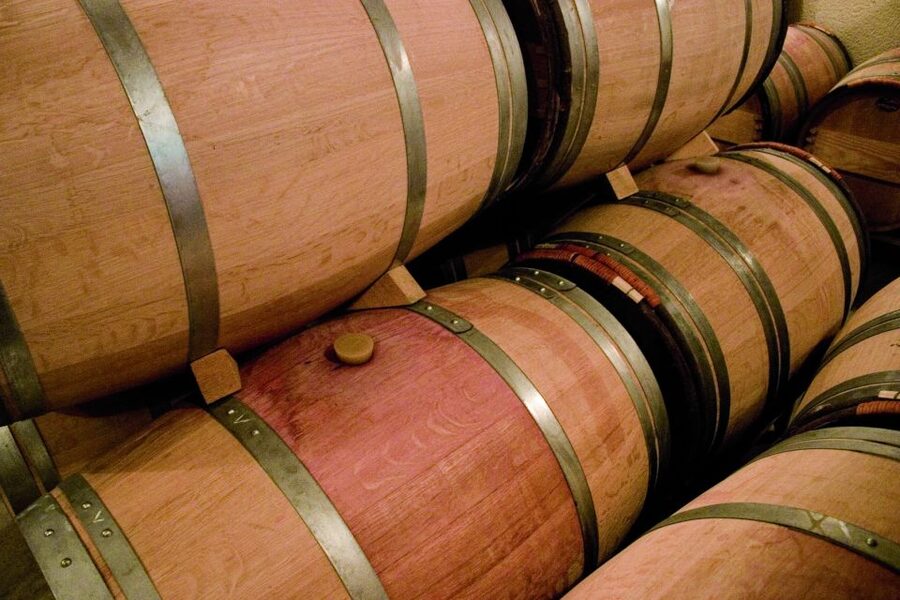 From Bordeaux: St. Emilion Village Half-Day Wine Tour - Who should book this Saint-Émilion tour?