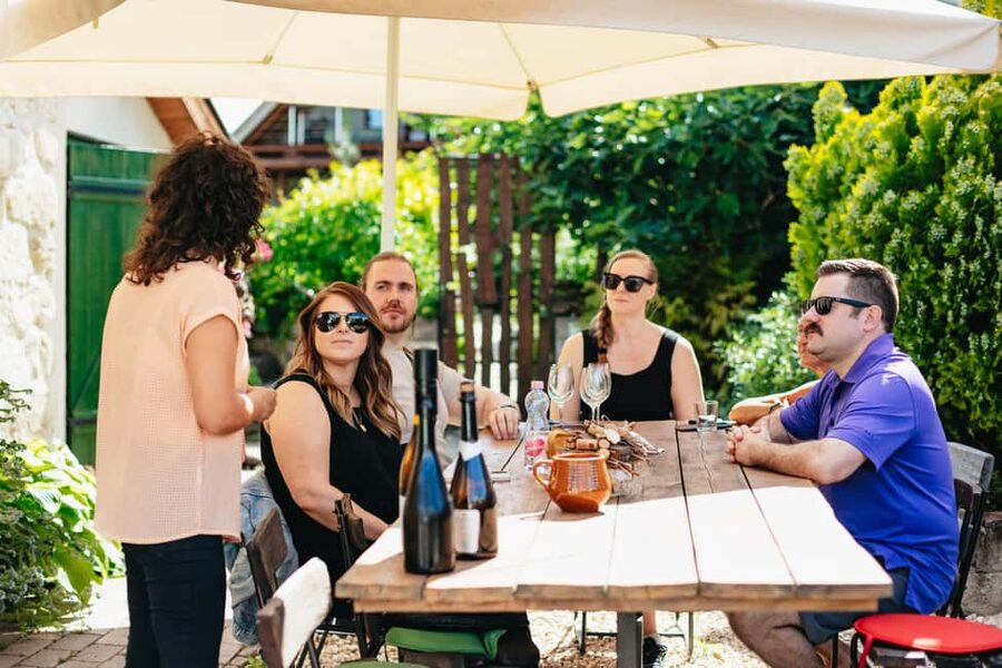 From Budapest: Half-Day Countryside Wine Tour with Meal - Key points to know before booking