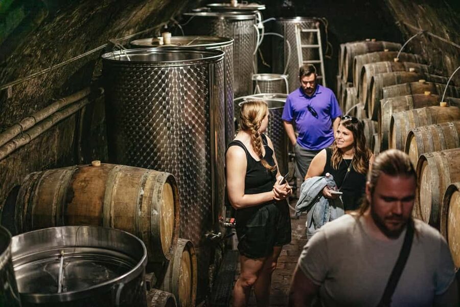 From Budapest: Half-Day Countryside Wine Tour with Meal - The Hungarian meal is more than a snack stop
