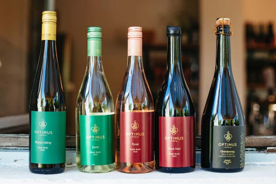 From Budapest: Half-Day Countryside Wine Tour with Meal - Group size and the social side