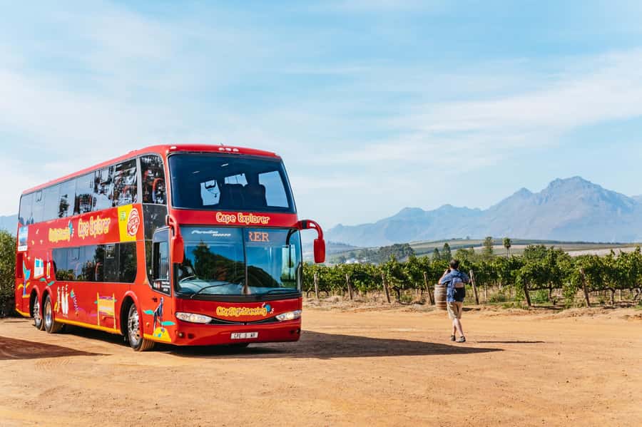 From Cape Town: 3 Regions Wine Tour with 3 Estates, 15 Wines - Key points to know before booking