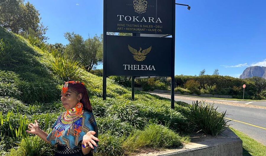 From Cape Town: Stellenbosch & Franschhoek Wine Tasting Tour - Tokara on the Helshoogte Pass