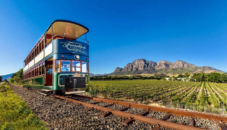 From Cape Town: Winelands Full Day Tour and Wine Tasting - Arriving among the Stellenbosch vineyards