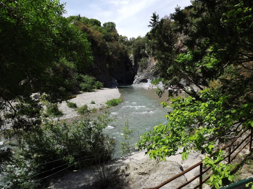 From Catania: Mt. Etna, Wine and Alcantara Tour - Who should book this day trip