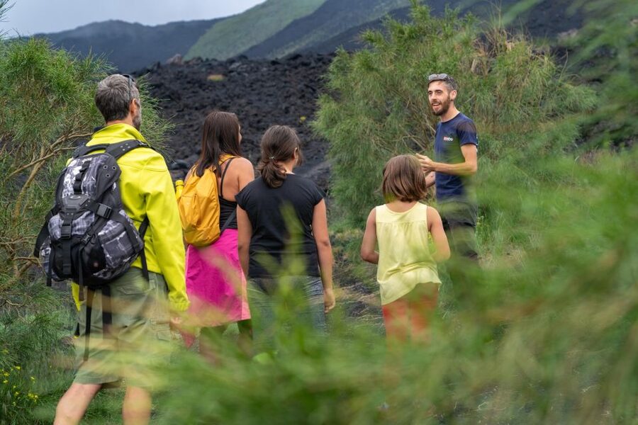 From Catania: trek on Mount Etna, Lava Cave & tasting Tour - What the $68 price really covers