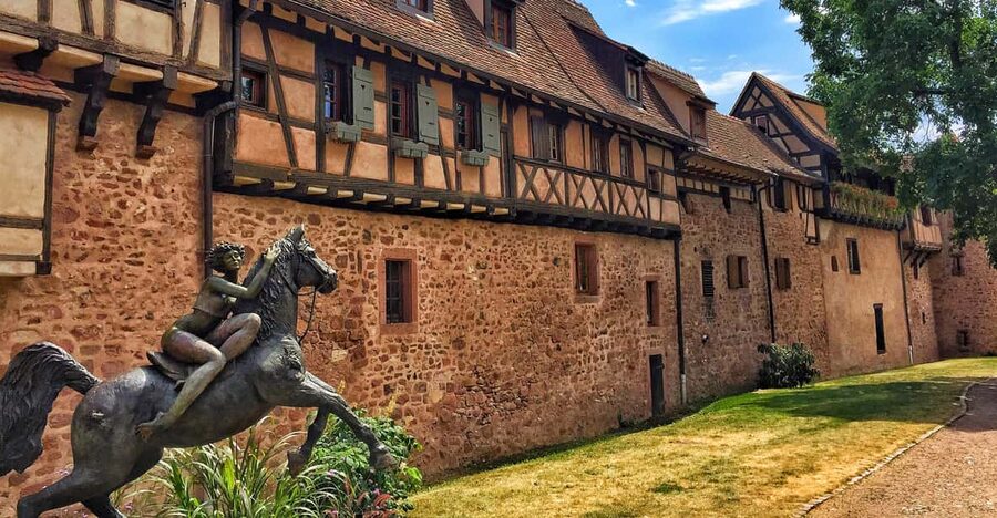 From Colmar: Alsace Medieval and Wine Tasting Day Tour - The final vineyard tasting