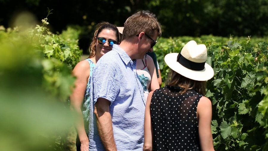 From: Dijon/Beaune: Burgundy Region Winery Tour with Lunch - Montrachet Grand Cru and the final stretch