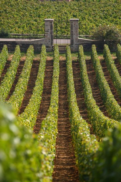 From: Dijon/Beaune: Burgundy Region Winery Tour with Lunch - Beaune from the road
