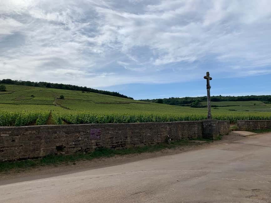From: Dijon/Beaune: Burgundy Region Winery Tour with Lunch - Local lunch with Burgundy on the plate