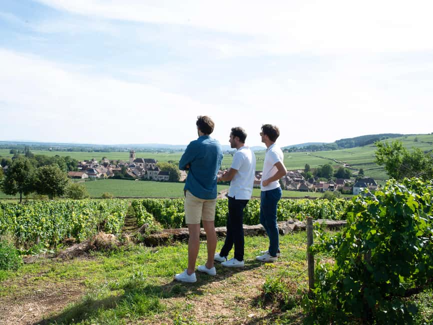 From: Dijon/Beaune: Burgundy Region Winery Tour with Lunch - Eight wines and a family-run winery