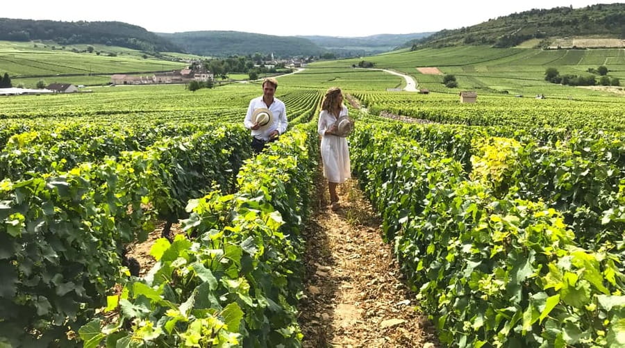 From: Dijon/Beaune: Burgundy Region Winery Tour with Lunch - Starting in Dijon or Beaune