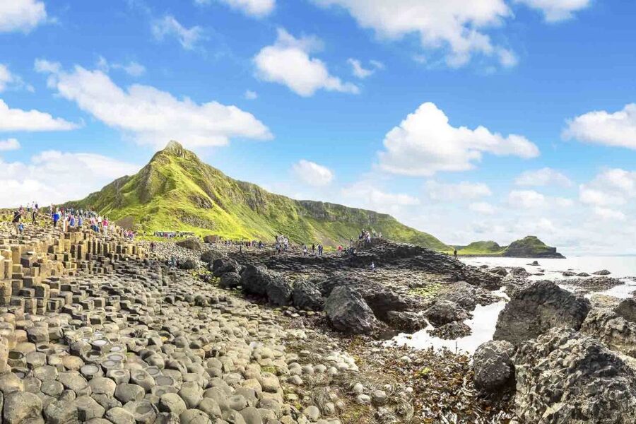 From Dublin: Giant's Causeway Tour and Whiskey Tasting - The Dark Hedges, famous but brief