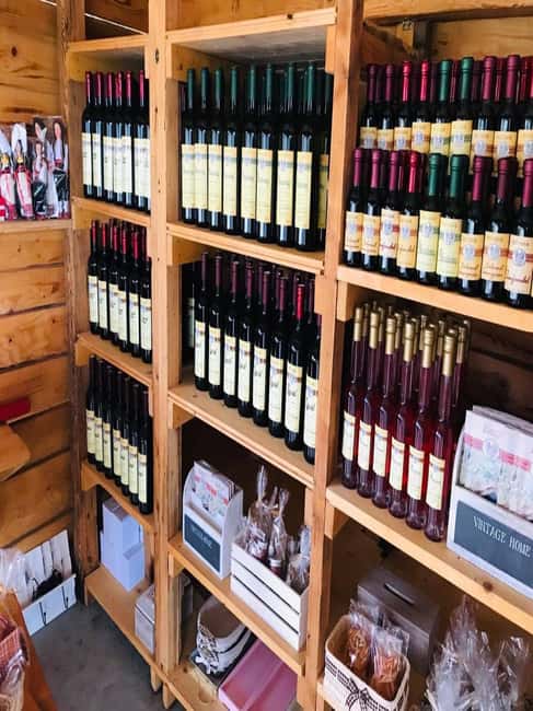 From Dubrovnik: Half-Day Wine Tasting and Cavtat City Tour - Key points at a glance