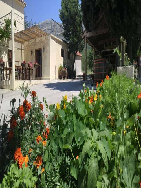 From Dubrovnik: Half-Day Wine Tasting and Cavtat City Tour - A family cellar in Konavle Valley