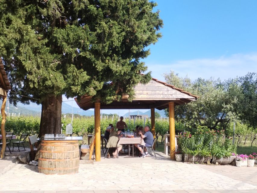 From Dubrovnik: Half-Day Wine Tasting and Cavtat City Tour - Is $130 a fair price?