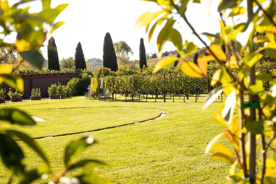 From Florence: Chianti Half-Day Wine Tour with Tasting - The first tasting at Poggio ai Laghi