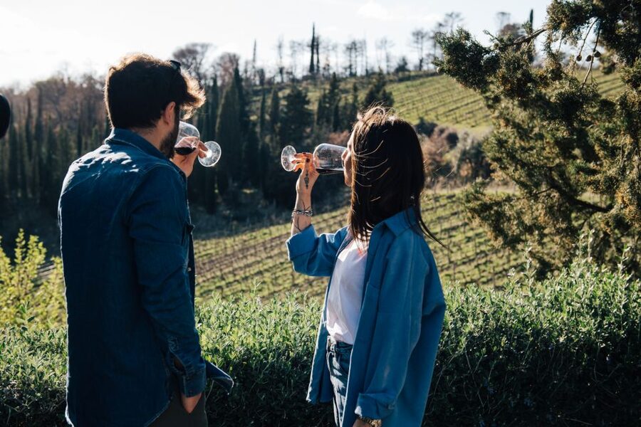 From Florence: Chianti Hills Half-Day Tour with Wine Tasting - Key points to know before booking