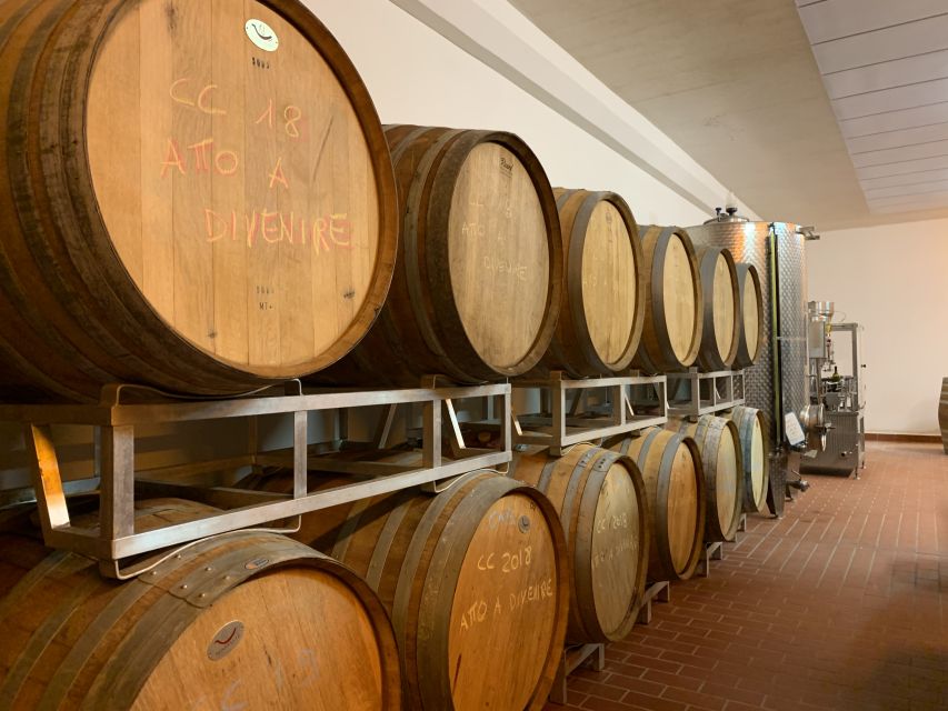 From Florence: Chianti Hills Half-Day Tour with Wine Tasting - Two tasting settings, two different moods
