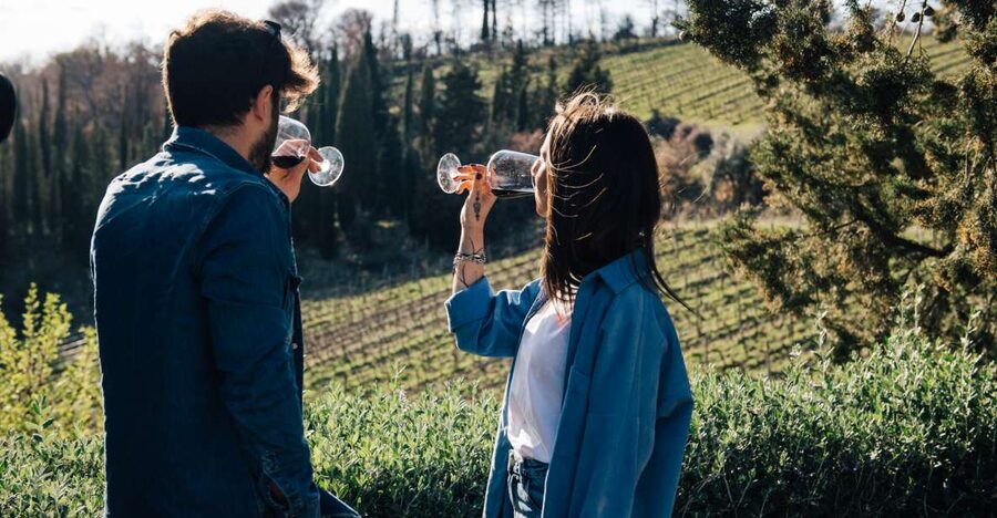 From Florence: Chianti Hills Half-Day Tour with Wine Tasting - Walking the vines and reading the Tuscan countryside