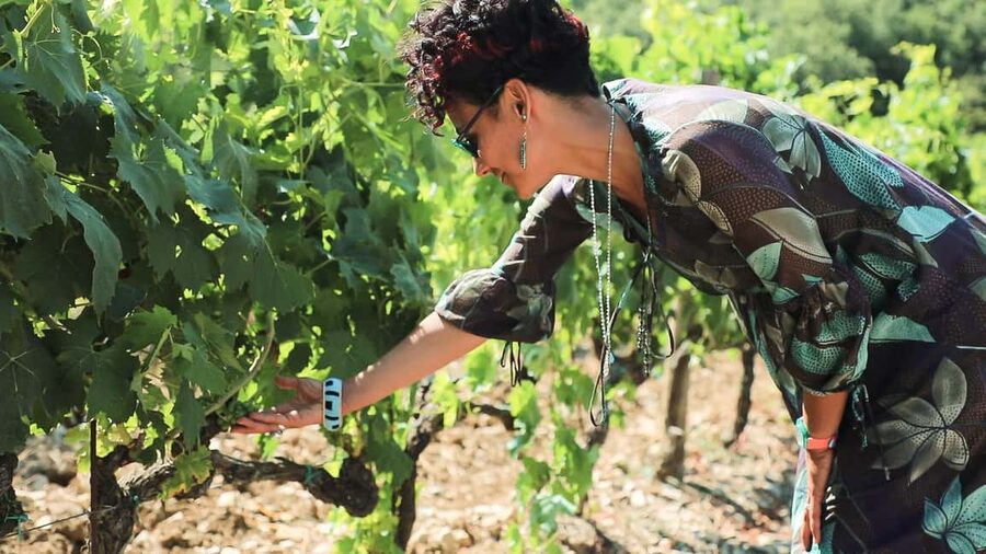 From Florence: Chianti Tour with Two Wine and Food Tastings - Leaving Florence for the Chianti hills