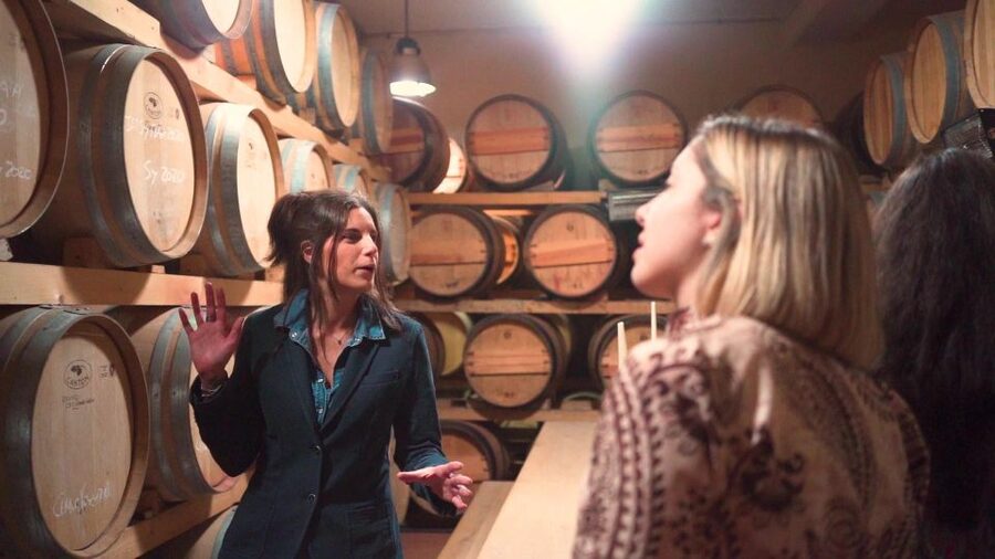 From Florence: Chianti Tour with Two Wine and Food Tastings - Timing, walking, and what to bring